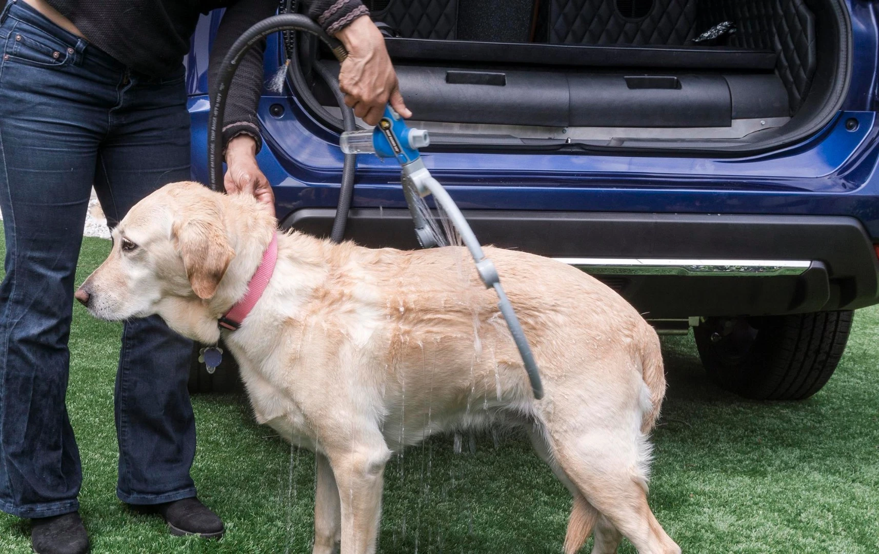 A built-in dog wash helps keep your dog clean because, as we all know, dogs love baths almost as much as cats do