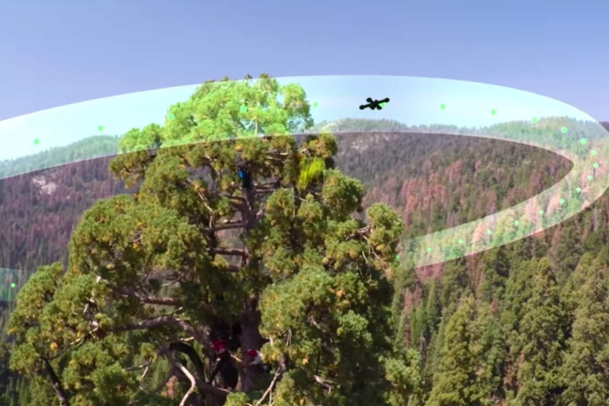 A single drone flight can provide the scientists with information that they would never get with the naked eye