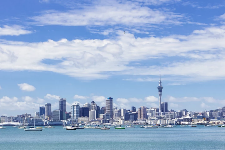 Through advanced chemical analysis, scientists have calculated the amount of microplastics falling on Auckland each year
