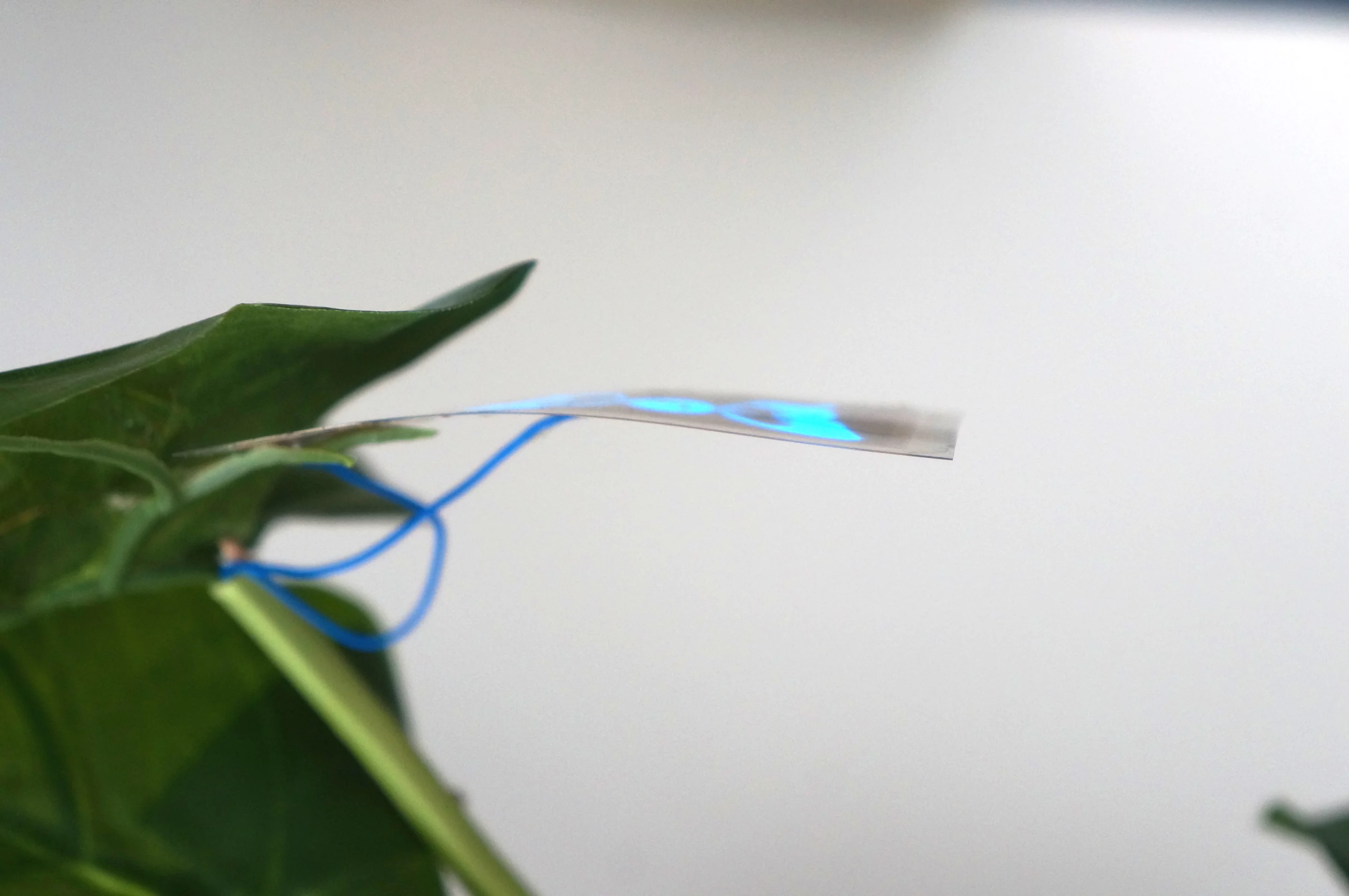 The DIY display is less than a millimeter thick (Image credit: Saarland University)