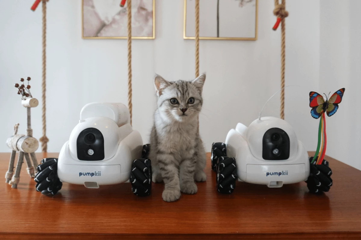 Pumpkii features interchangeable modules that perform different functions