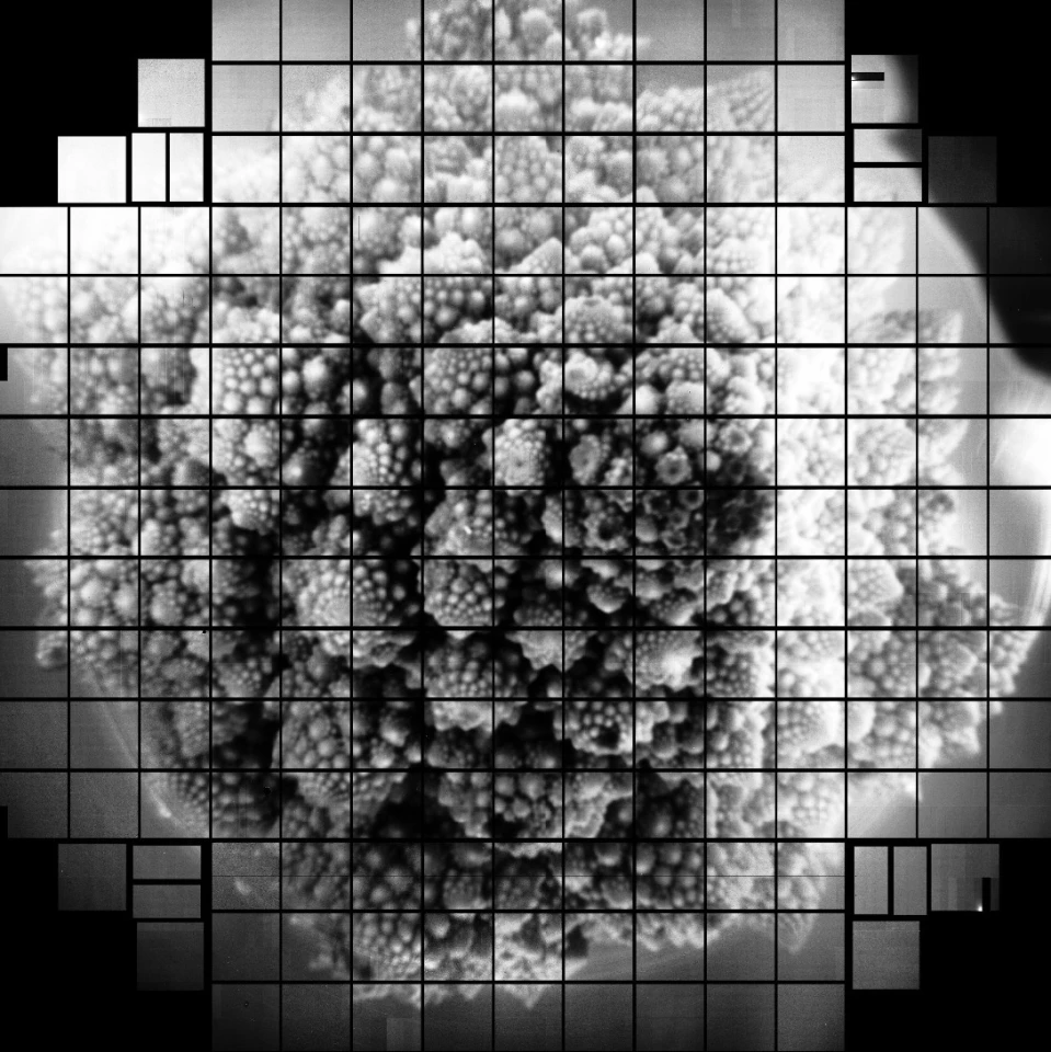 A head of broccoli, as seen by the focal plane for the world's most powerful digital camera