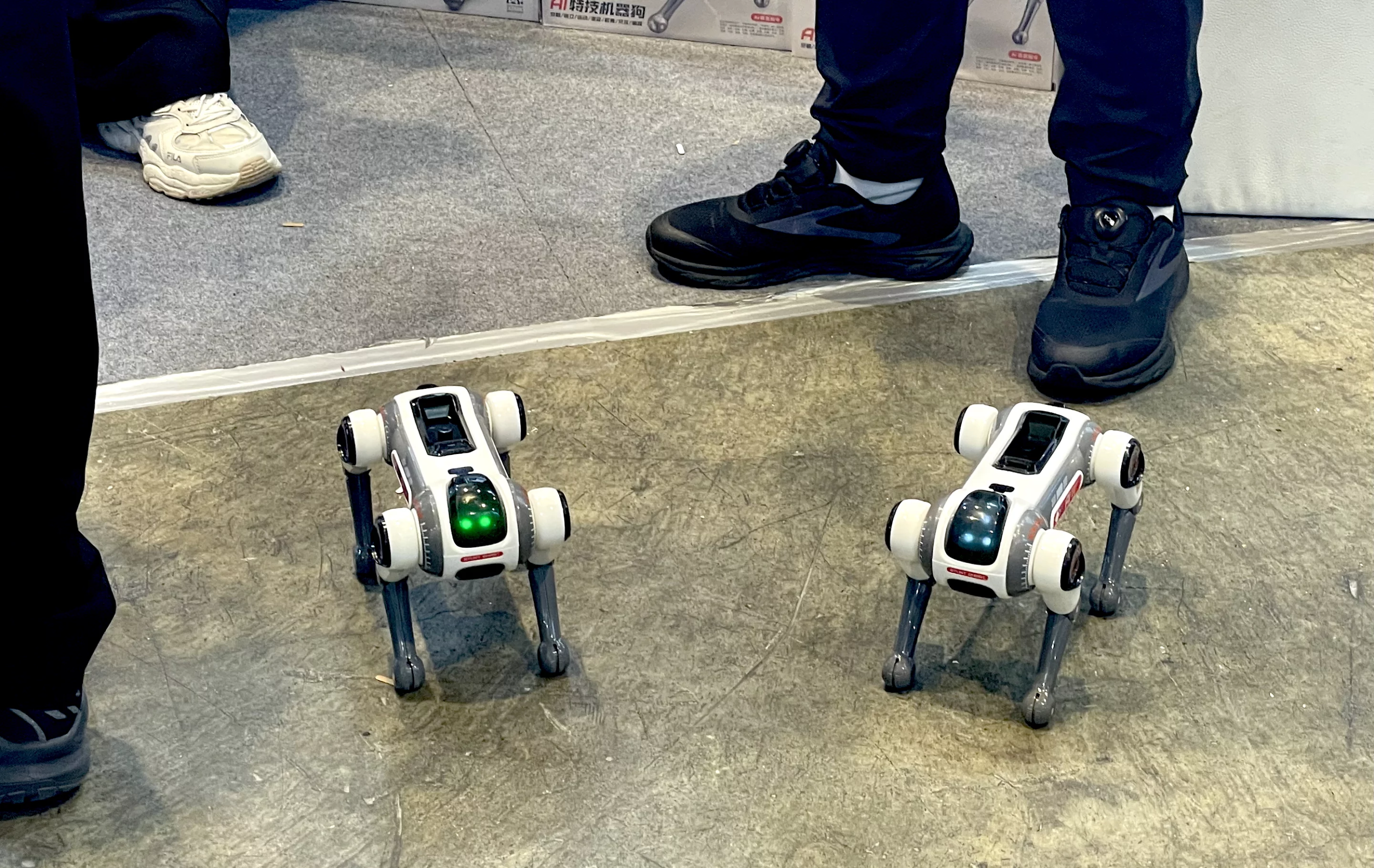 Robot Chihuahuas