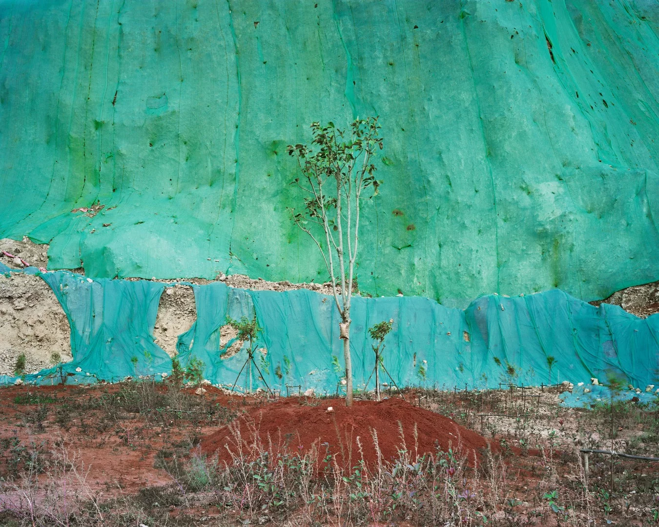 An image showing a detailed ecology recovery landscape. The background is a quarry face covered by green/cyan plastic netting. A young sapling stands in the center, supported by a bag of nutrition liquid and a pile of semi-artificial red soil
