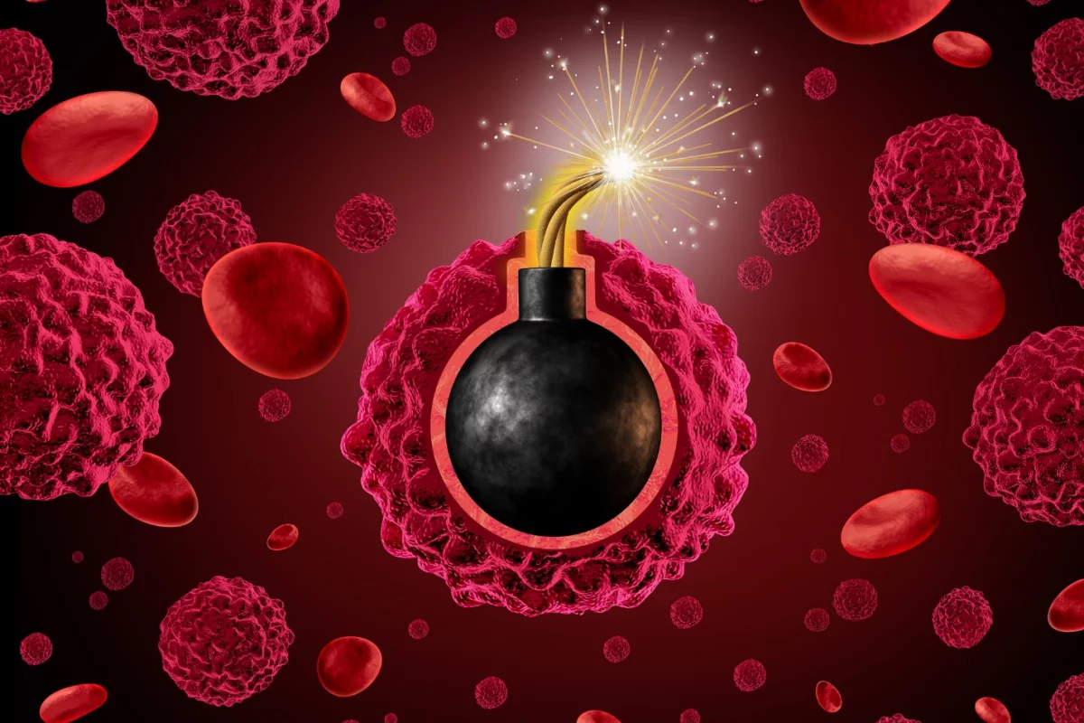 An ancient mechanism can hopefully be appropriated in the future to develop a new way of killing cancerous cells