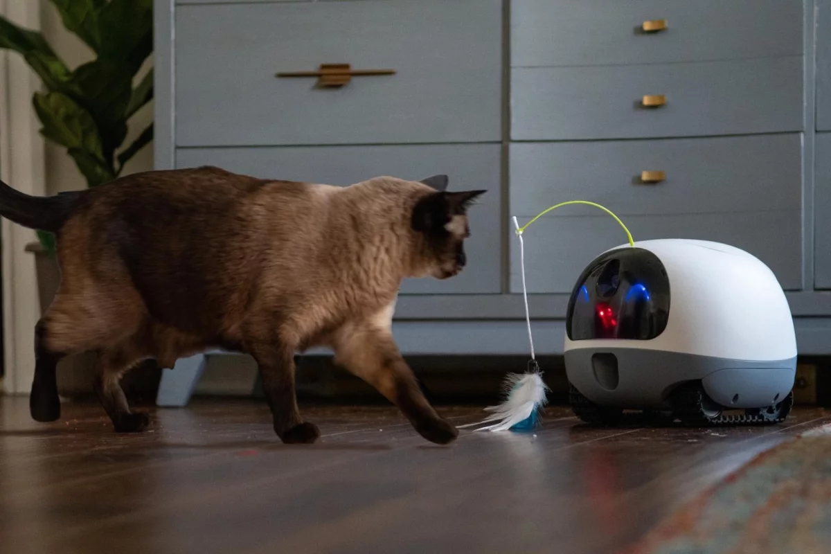 The VAVA Mobile Pet Cam's body is made of industrial-strength PVC, so it should withstand some abuse