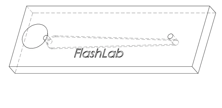 What a prototype of the FlashLab chip looks like