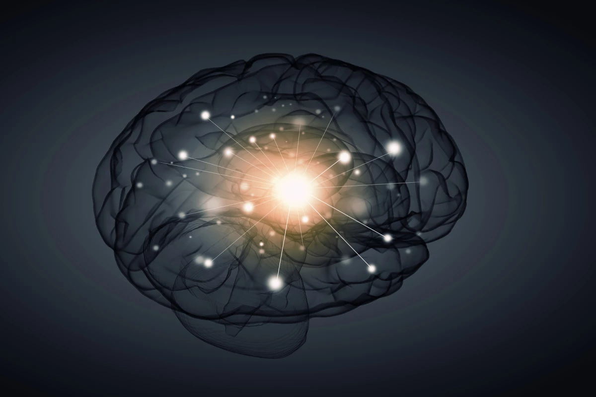 New research out of Sweden found ketamine exerts a novel effect on serotonin 1B receptors in the hippocampus