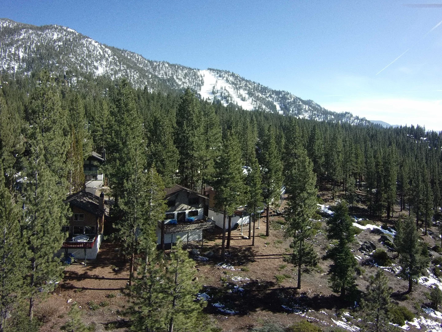 Still photo from ProDrone Byrd Standard