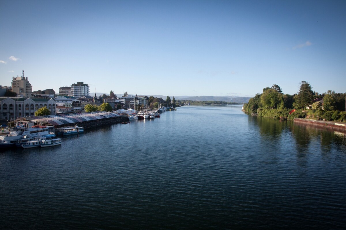 The Valdivia River, with a fish market and tour operators populating the boulevard on the left