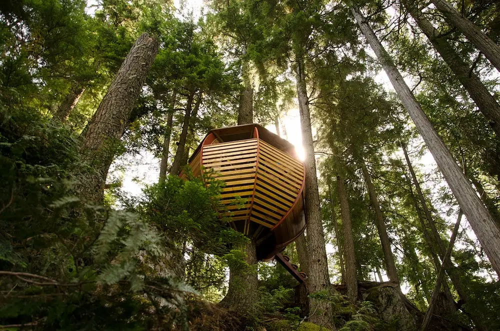 Unlike many buildings described as such, the HemLoft in British Columbia, Canada is a treehouse in the truest sense: the entire weight of the egg-shaped structure is supported by the tree around which it is built