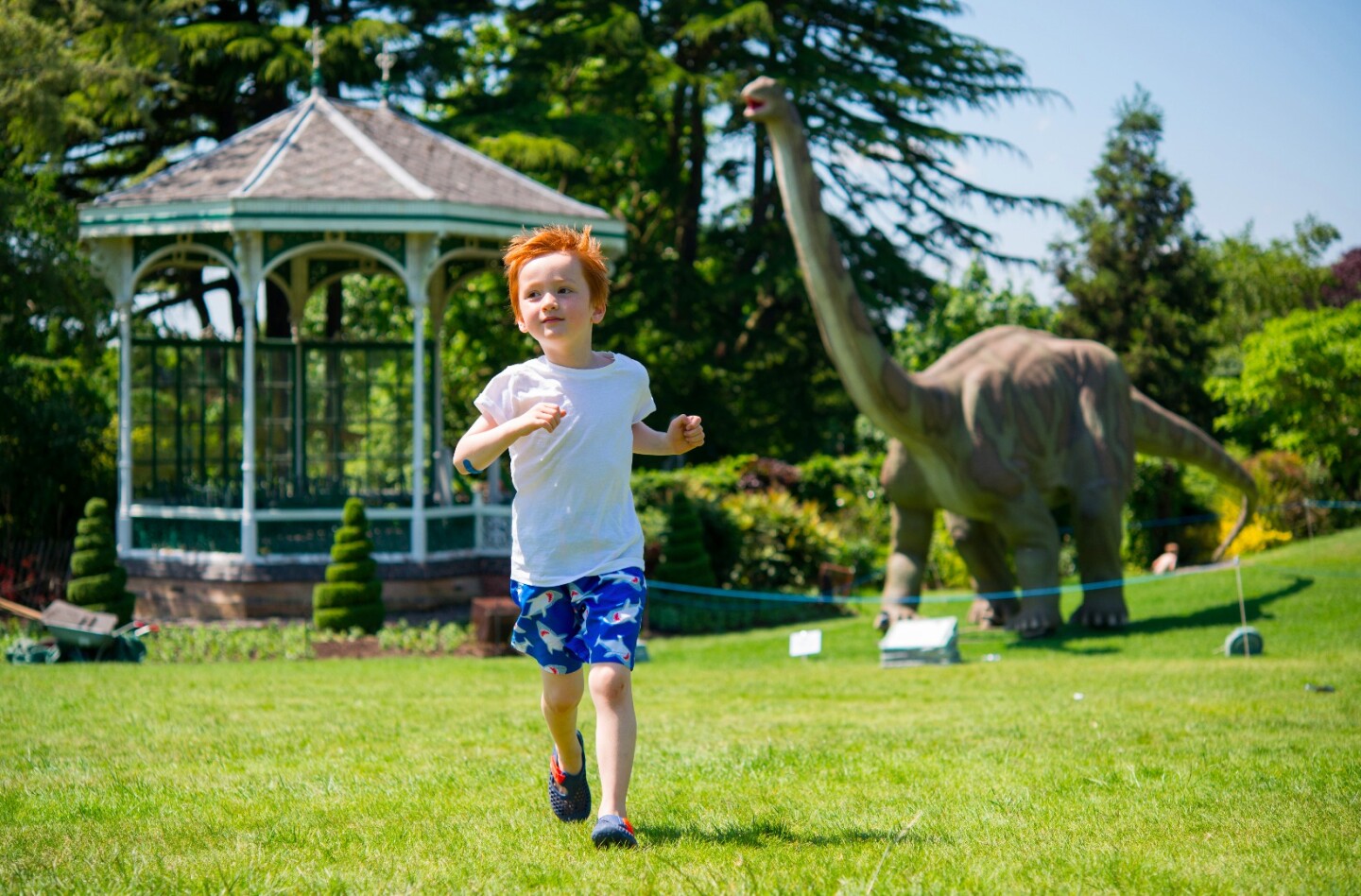 Continuous focusing mode is often the best bet if shooting moving subjects