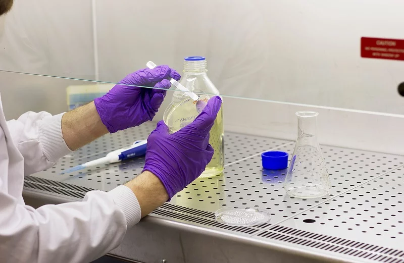 The bascillus pasterurii bacteria solution is pumped into the sand-filled mold and left to establish itself