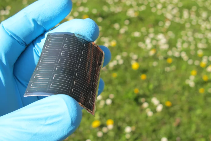 Flexible thin film CIGS solar cell on polymer substrate developed at Empa (Photo: Empa)