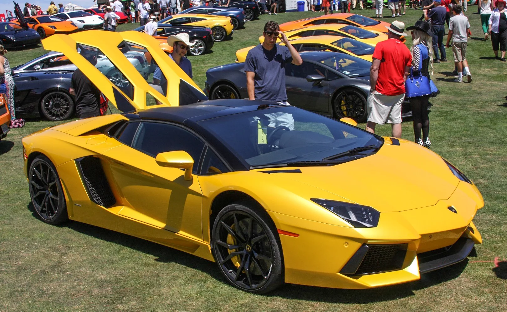 Lamborghinis in a row at The Concorso Italiano