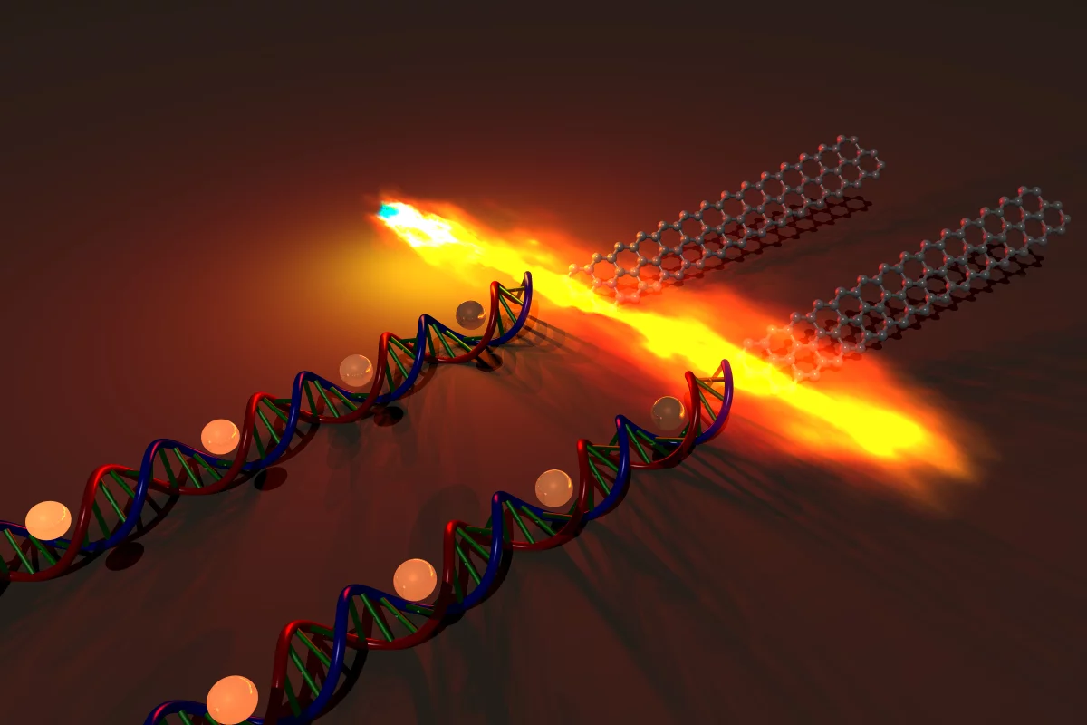 Stanford scientists have used DNA molecules to assemble high-performance graphene transistors (Image: Anatoliy Sokolov/Bao Group/Stanford Engineering)