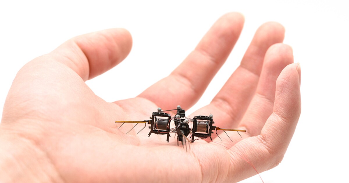 MIT’s insect-sized bots fly 100x longer with redesigned wings MIT’s insect-sized bots fly 100x longer with redesigned wings
