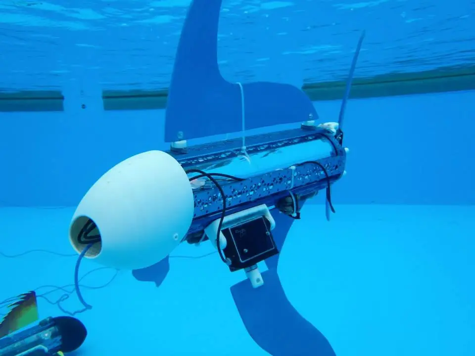 The naro-nanin's head was created using a 3D printer and could house a camera module in the near future (photo: naro - nautical robots)