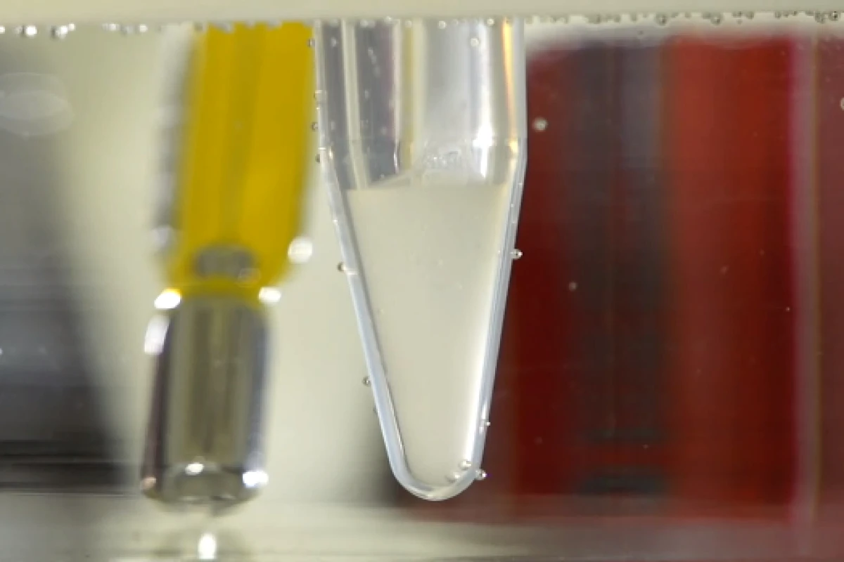 A vial of the clear hydrogel turns to a white semi-solid as it's heated to body temperature