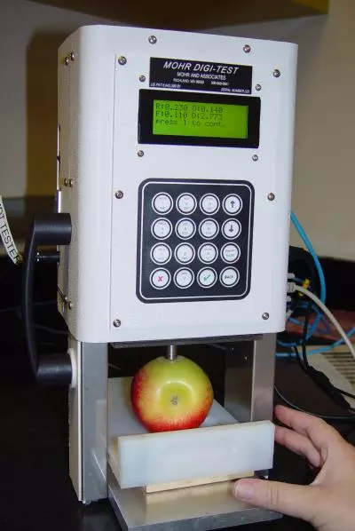 The Mohr Digi-Test computerized penetrometer is able to assess the crispness of apples (Photo: ASHS)