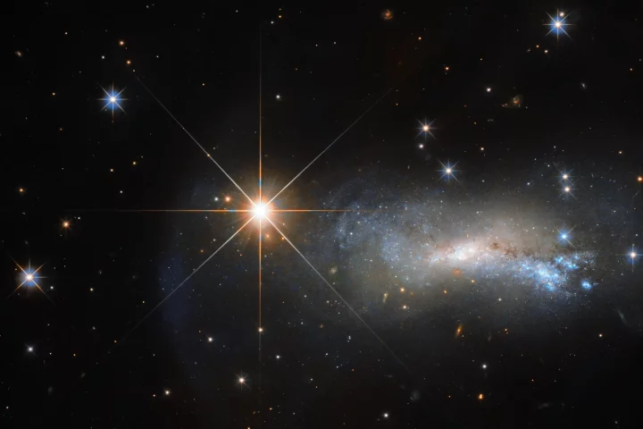A new star is due to shine for a short time in the night sky this year