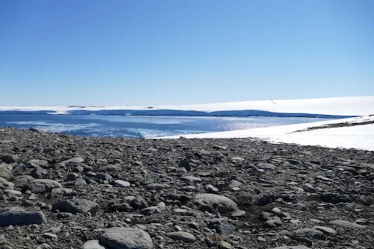 The location in East Antarctica where the team first discovered bacteria that can "eat" nothing but air