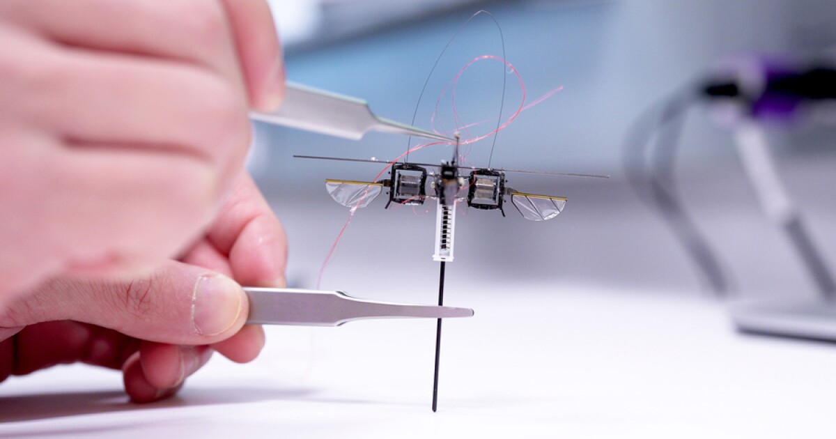 Robot uses wing assisted hopping to traverse rough terrain Robot uses wing assisted hopping to traverse rough terrain