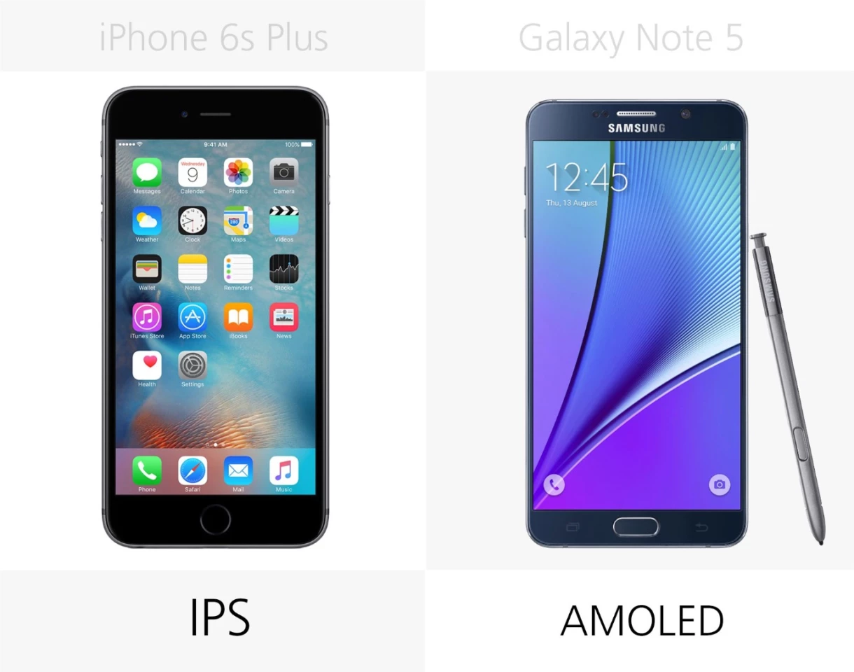 Display type