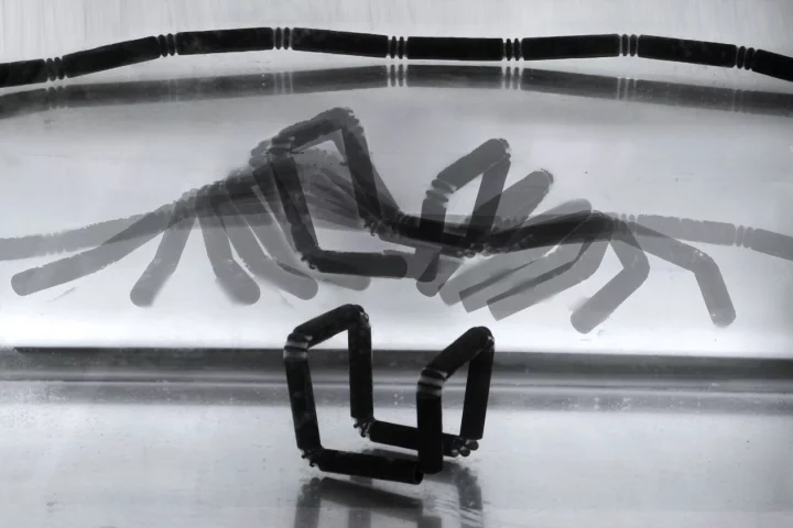 “4D printing” sees 3D-printed materials self-assemble into different shapes (Image: Skylar Tibbits)