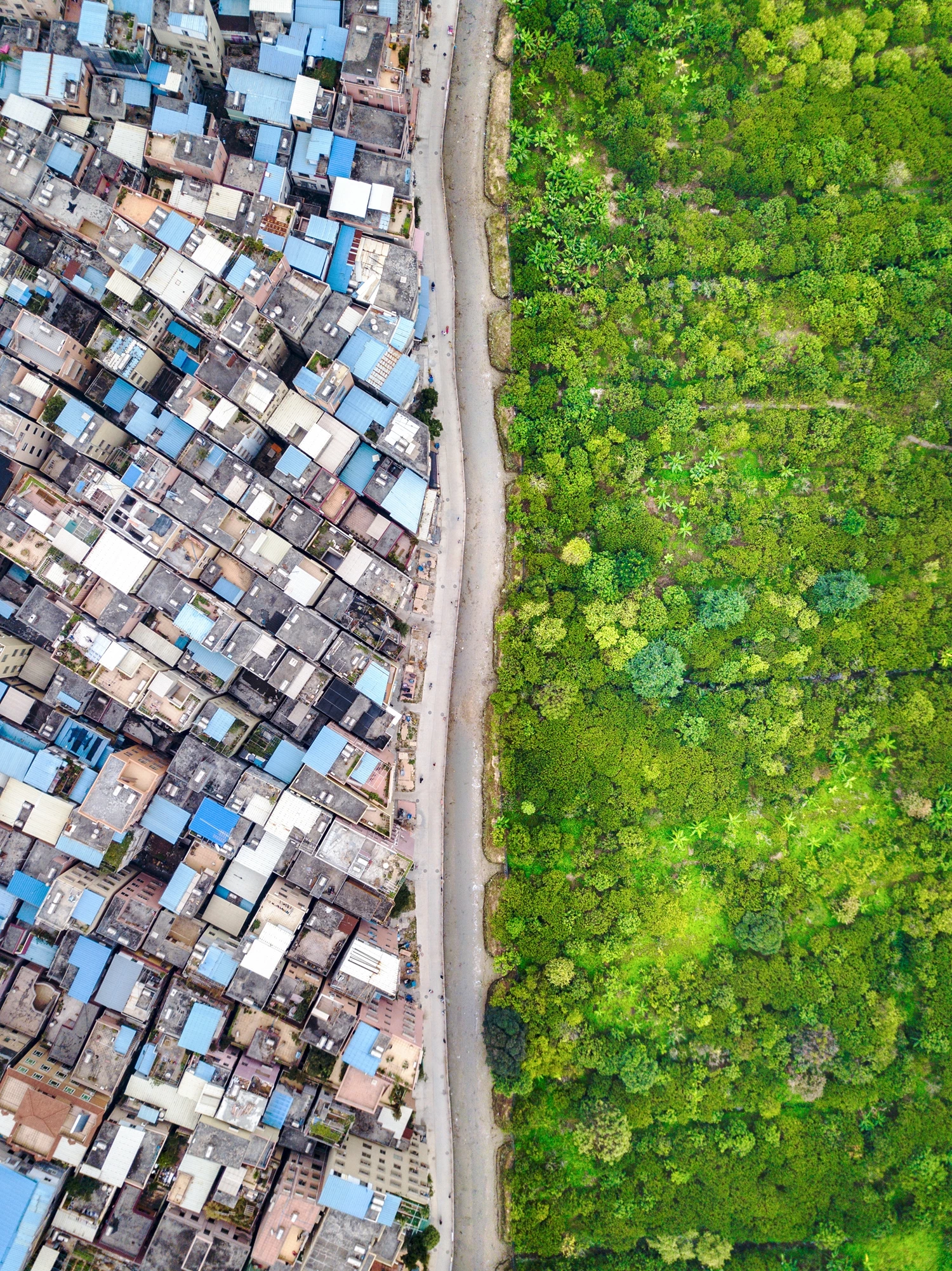Shortlist, Architecture, Line. A clear line separates the crowded village houses and the forest reserve in Guangzhou, China