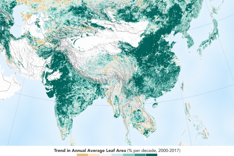 Satellite data reveals that China and India have added the largest proportion of new greenery to the planet in the last two decades