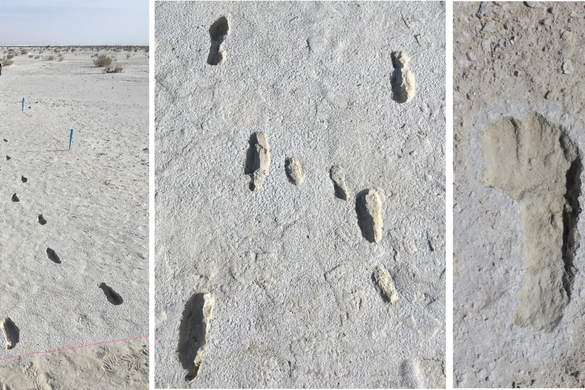 Ice Age footprints tell incredible story of mother and child's journey