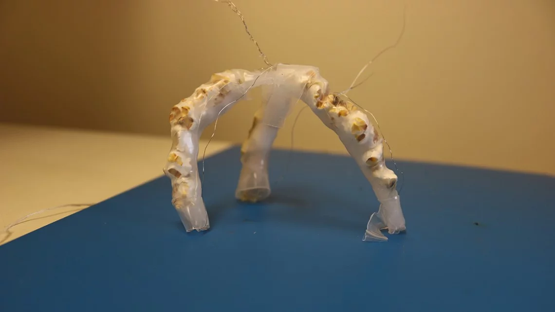 The team's popcorn-powered gripper