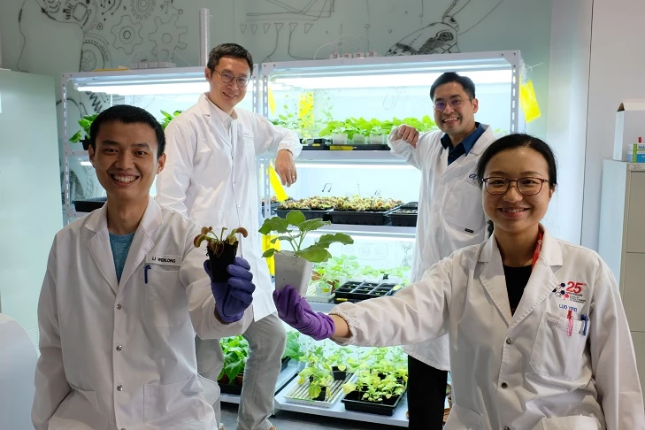 Scientists at Nanyang Technological University, Singapore have developed a new electrode that can act as a communication device for plants