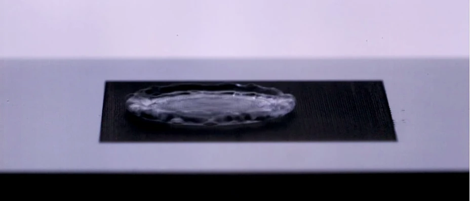 The remarkable material not only repels water very effectively, but is also velvet black from every angle and even self-cleaning (Photo: University of Rochester)