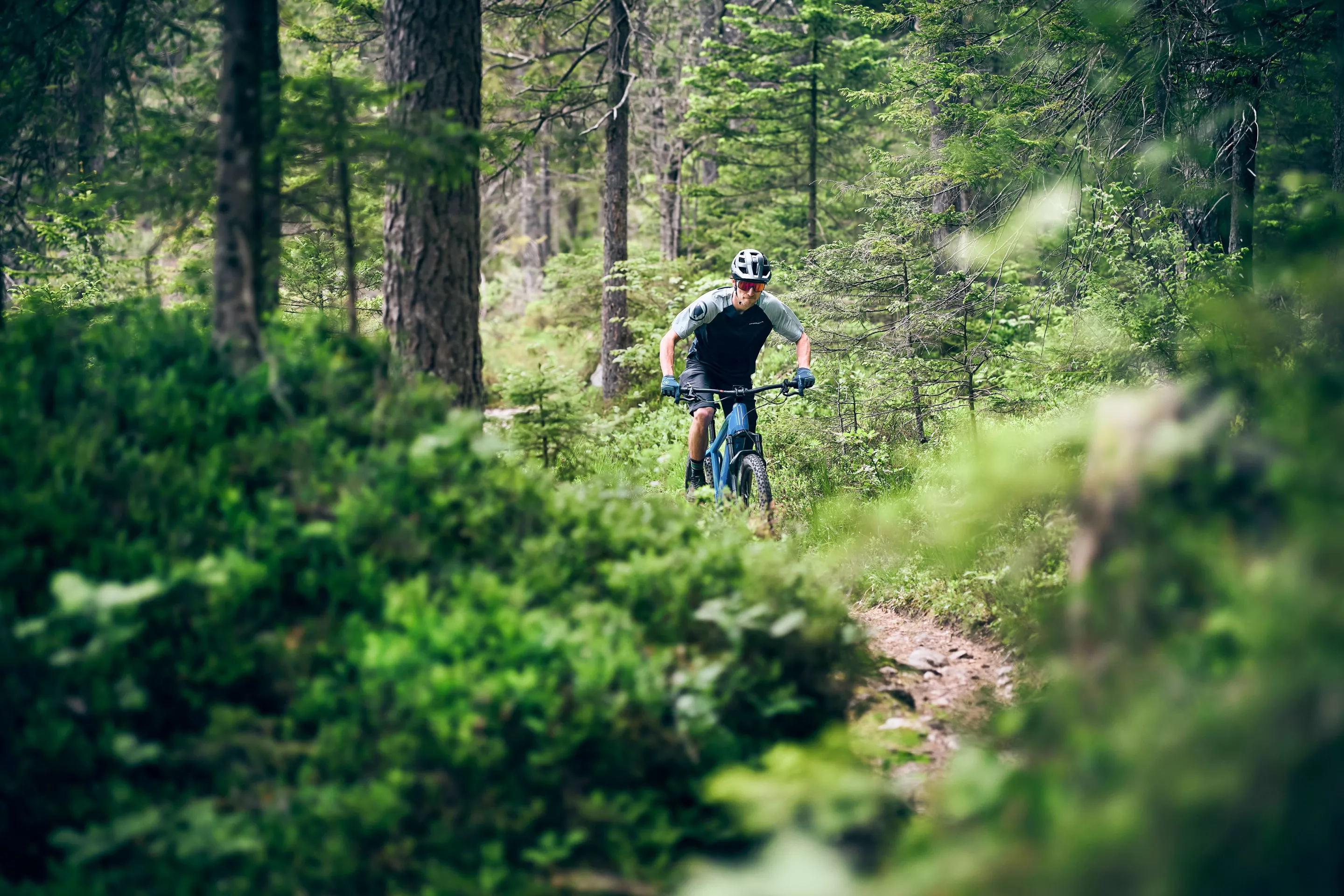 ZF's new electric Eco System is designed for the full gamut of bicycles, from urban commuters, to mountain bikes to gravel bikes