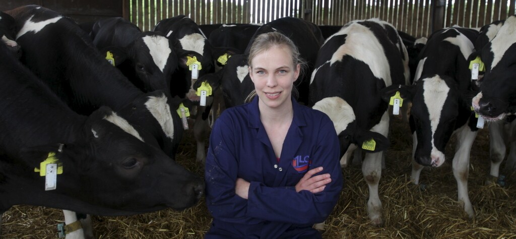 Project leader Ollie Szyszka, with some of the electronically-tagged cattle