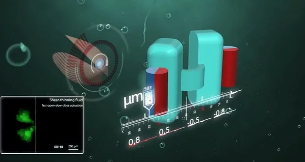 Researchers have been experimenting with real micro-sized robots that literally swim through your bodily fluids (Image: Max Planck Institute)
