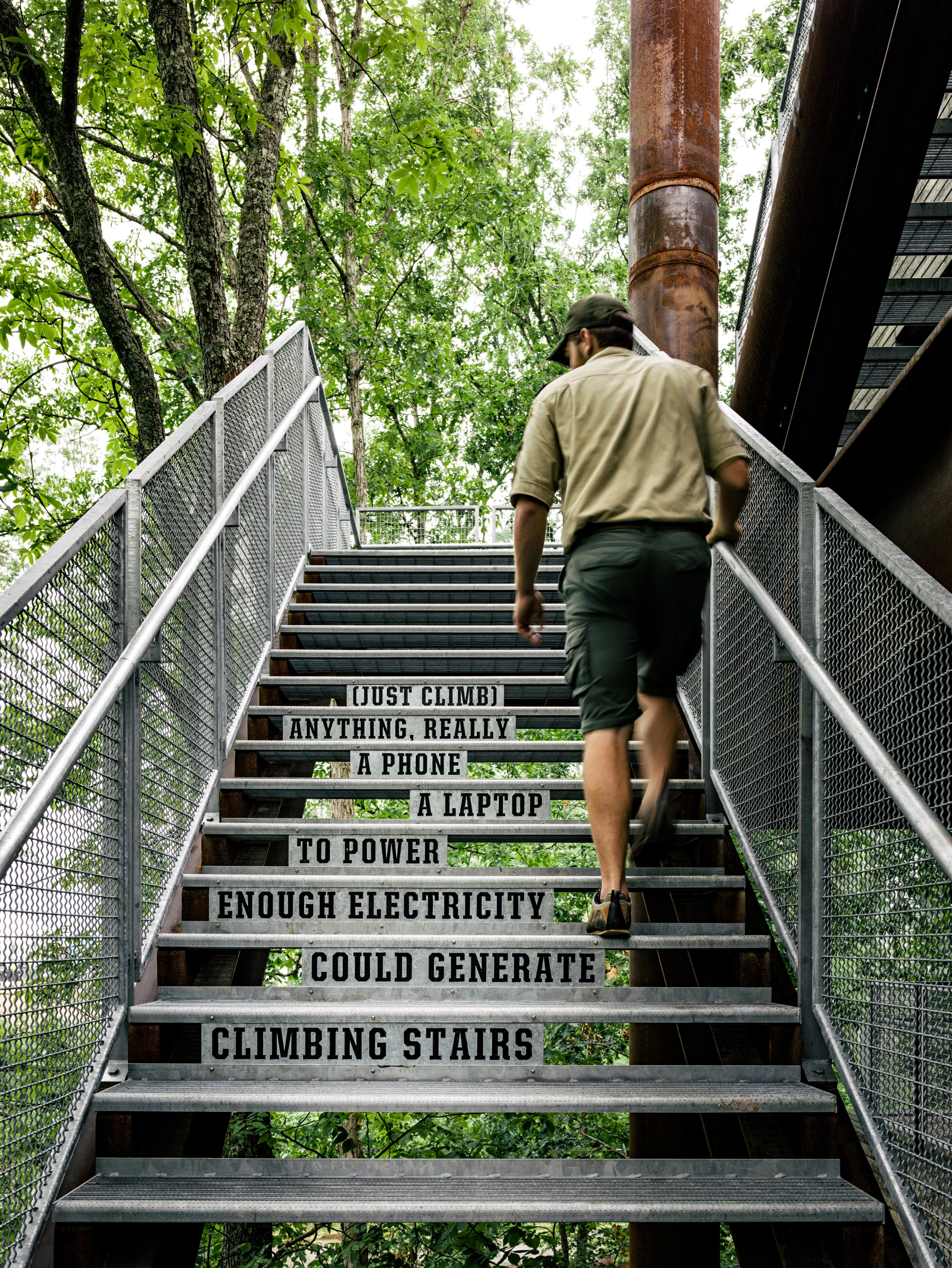 Circulation is integral to the Sustainability Treehouse and recalls the fascination of childhood exploration (Photo: Joe Fletcher)