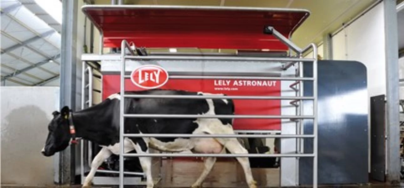 The food trough swings out to persuade the cow to leave the station