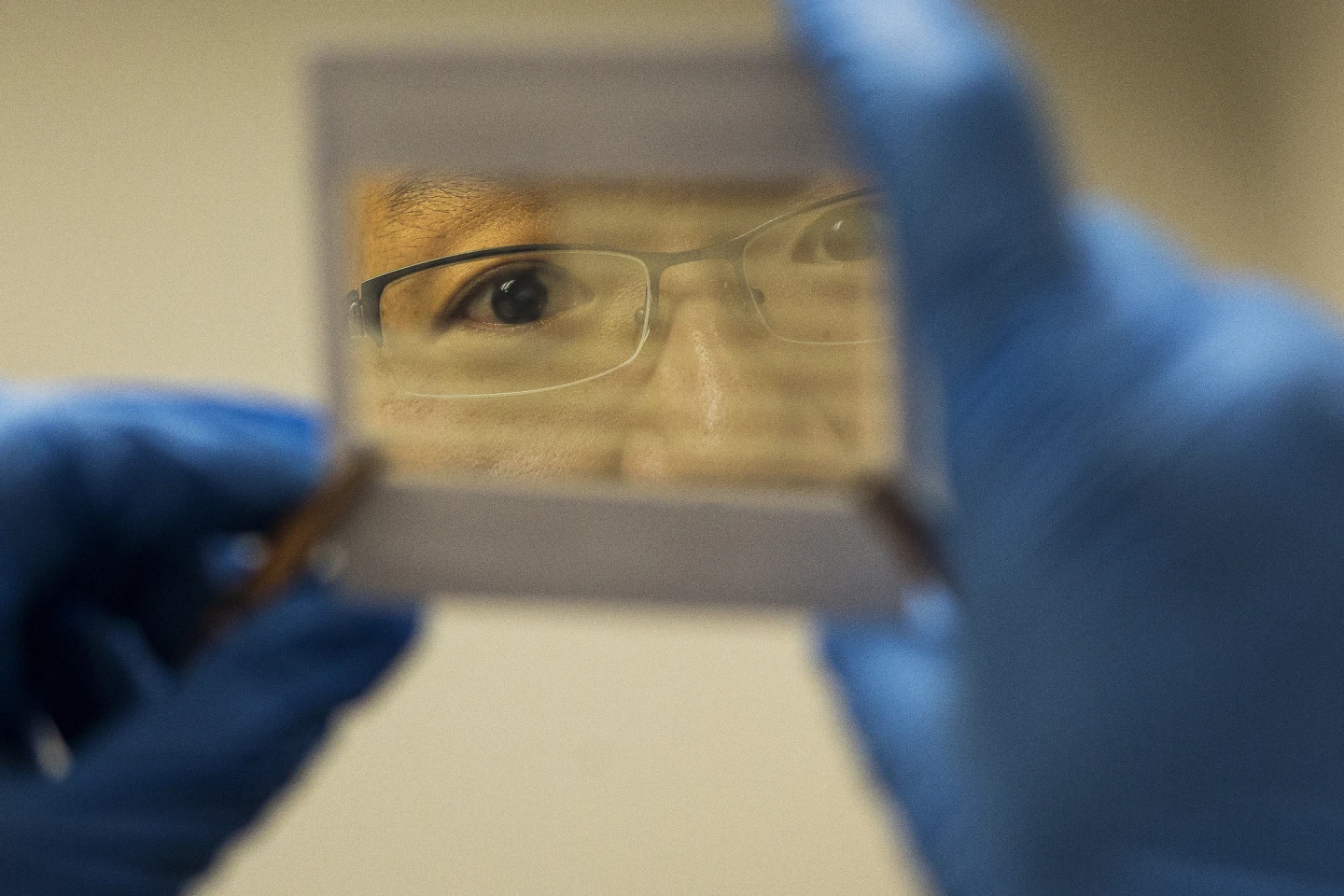 A colored solar cell that is reflective, rather than transparent (Photo: Joseph Xu, Michigan Engineering Communications & Marketing)