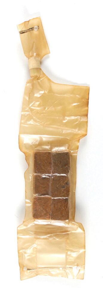Mystery space food