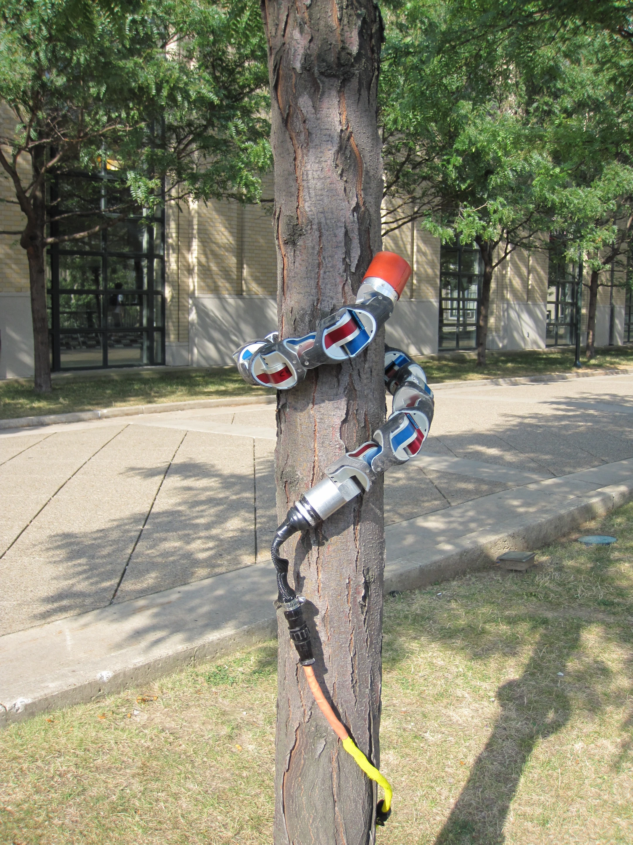 The modular snake robot is able to climb up and down by wrapping itself around cylindrical objects