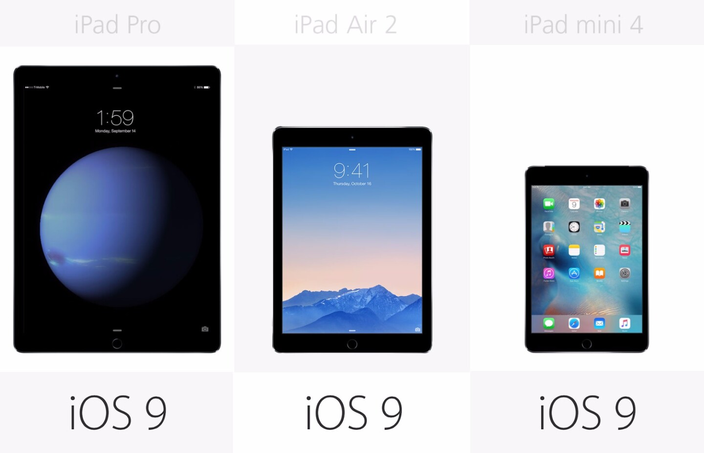 Software (row 1)