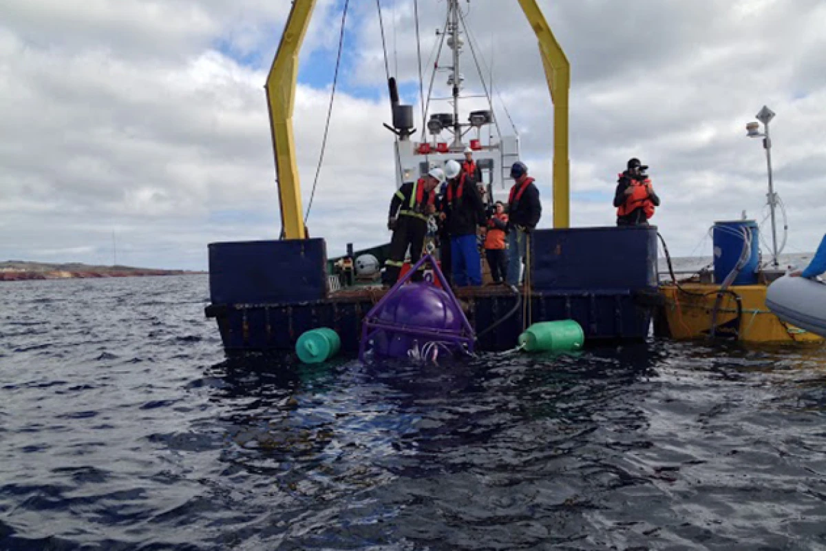 The Odyssée system uses wave power to churn out clean drinking water