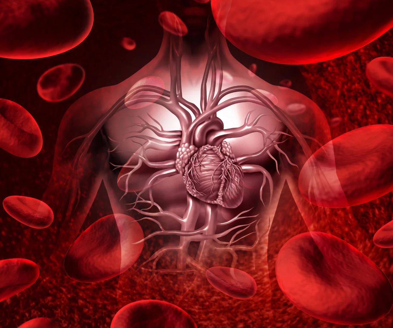 The course of blood through the heart might be a critical indicator of stroke risk