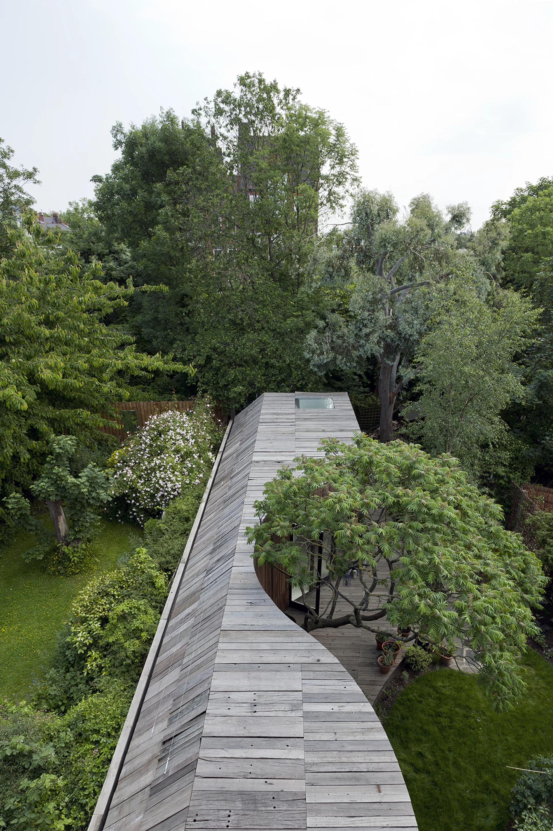 Tree House, by 6a architects sports, natural ventilation and underfloor heating (Photo: 6a Architects)