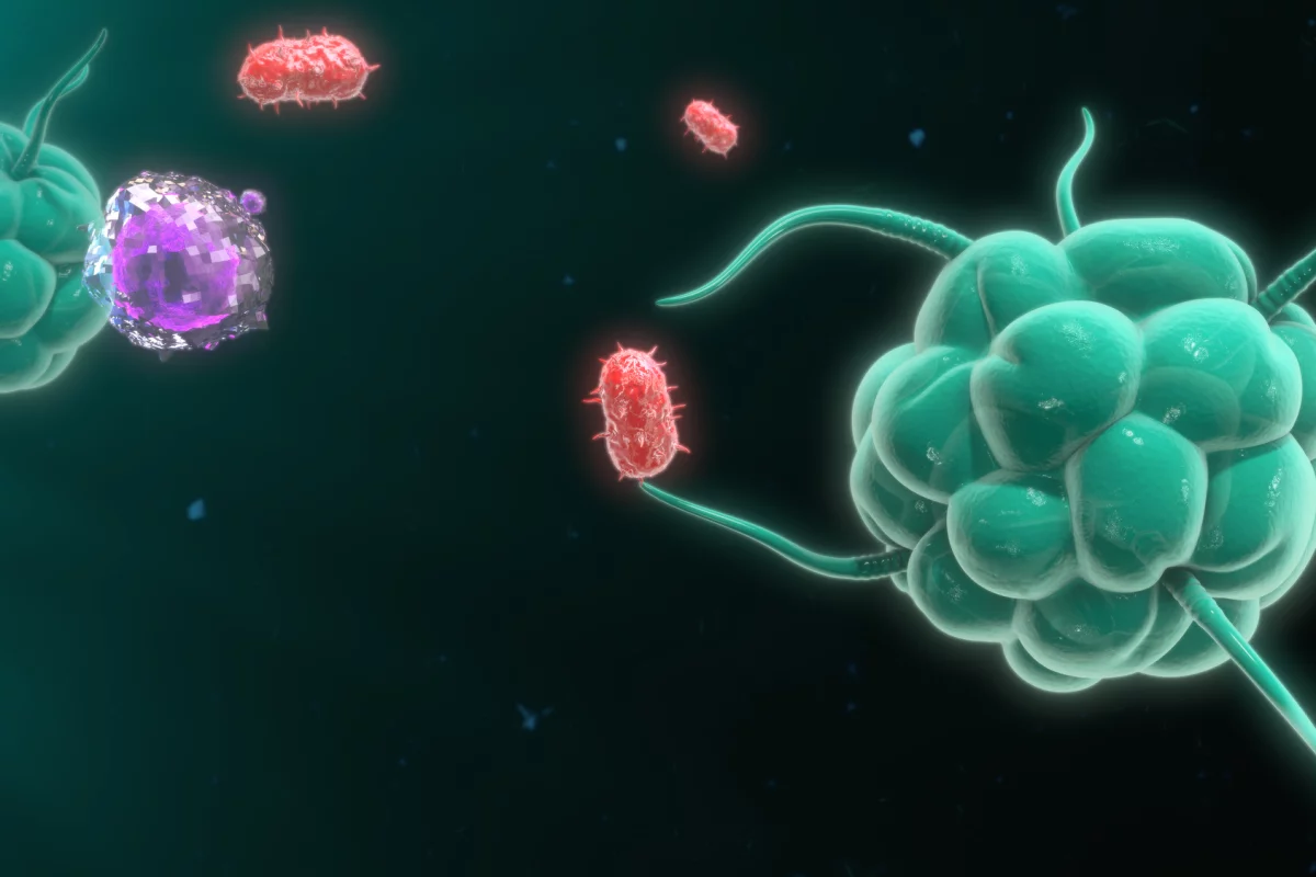 An illustration of macrophages destroying bacteria