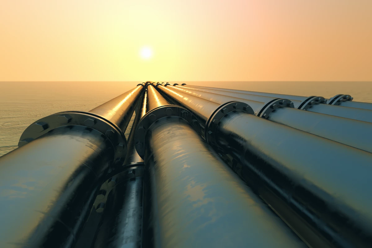 A new system inspired by bats could help prevent leaks from oil and gas pipelines