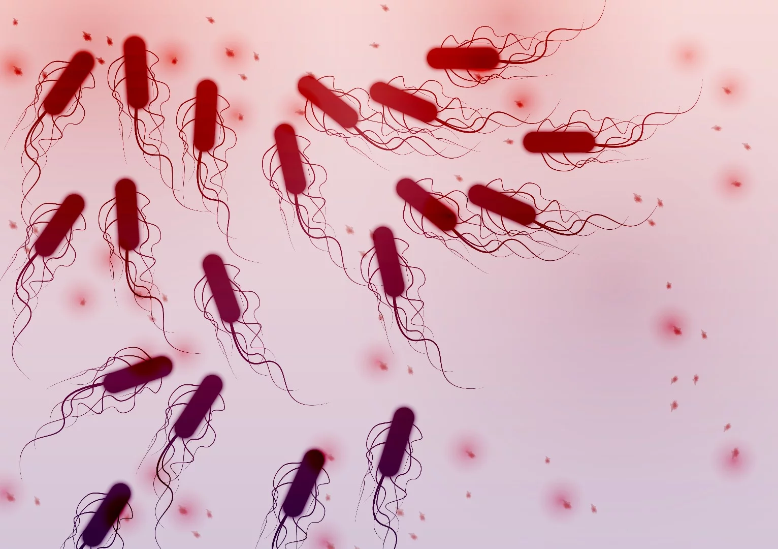 E. coli bacteria don't have a good reputation but thanks to a team of researchers from Israel, they might just be getting an image makeover